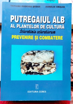 Putregaiul alb al plantelor de cultura Prevenire si combatere. foto