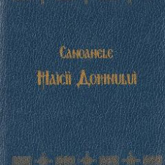 Canoanele Maicii Domnului. Albastra - Ioan Damaschin