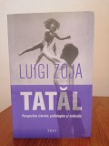 Luigi Zoja, Tatăl. Perspective istorice, psihologice și culturale