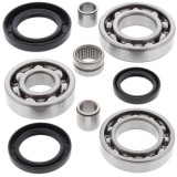 Cumpara ieftin Set de rulment diferential si garnitura Spate pentru KAWASAKI KLF 300/400 1989-2005