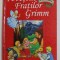 POVESTILE FRATILOR GRIMM de FRATII GRIMM , 2008 * COTOR LIPIT CU SCOTCH