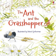 The Ant and the Grasshopper (MFRL) - Usborne Book (3+) foto