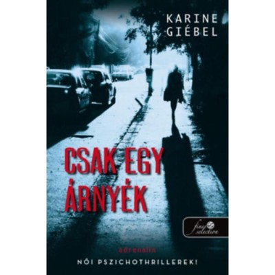 Csak egy &amp;aacute;rny&amp;eacute;k - Karine Giebel foto