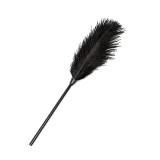 Accesoriu Rosy Feather Negru