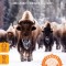 Fodor&#039;s Compass American Guides: Yellowstone and Grand Teton National Parks