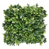 Perete Verde Plastic Aralia 50x50cm Panou Decorativ Gradina Verticala Interior Exterior Rezistent UV Usor Montaj