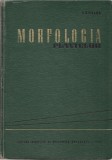 Morfologia plantelor - I. Ciobanu