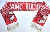 Fular fotbal (vechi de colectie) - DINAMO BUCURESTI