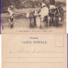 Tipuri din Romania- Port National-clasica