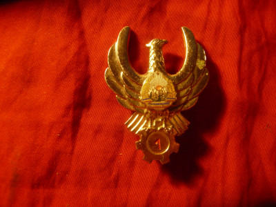 Insigna de Aviatie - Tehnician - Vultur cl.1 , h= 5cm ,metal si email foto