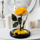 Cumpara ieftin Trandafir Criogenat XXL galben &Oslash;9,5cm in cupola sticla 17x28cm
