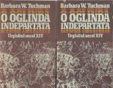 O oglinda indepartata. Urgisitul secol XIV (2 volume) - Barbara W. Tuchman