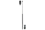 Amortizor capota AUDI A4 Cabriolet (8H7, B6, 8HE, B7) (2002 - 2009) RINGER 1510053029