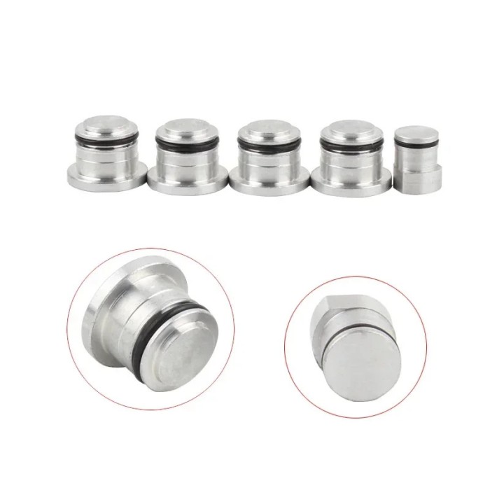 Dopuri Anulare Clapete Galerie Admisie Z19DTH &amp; Z19DTJ pentru Opel, Fiat, Alfa Romeo, Saab 15mm