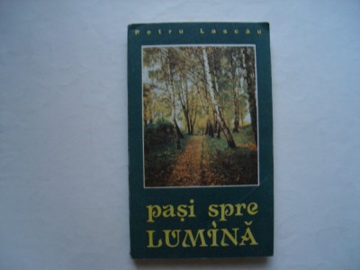 Pasi spre lumina - Petru Lascau foto