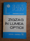 Gheorghe Hutanu - Zigzag in lumea opticii