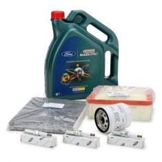 Pachet Revizie Ulei Motor Castrol Magnatec Ford 5W-20 E 5L 15D63F + Set Filtru Aer + Polen + Ulei + 3 Buc Bujie Oe Ford Fiesta 6 2012? 1729860 + 15669 foto