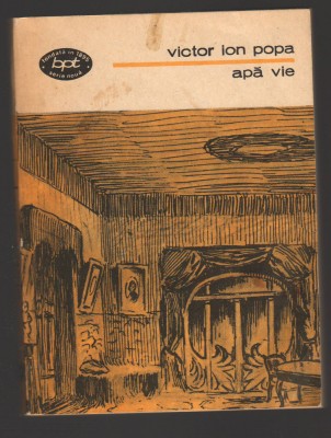 C10226 - APA VIE - VICTOR ION POPA foto