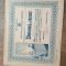 DIPLOMA DE MERIT, 1945-1946, PREMIUL II