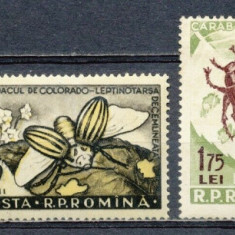 ROMANIA 1956-Lp 413+413a Insecte daunatoare Serie de 3 timbre si eroarea MNH