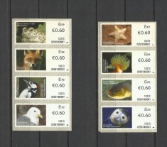 IRLANDA 2013 ATM FAUNA PASARI ANIMALE PESTI FOCI foto