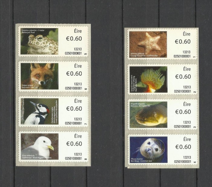 IRLANDA 2013 ATM FAUNA PASARI ANIMALE PESTI FOCI