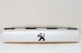 Ornament lampa număr de &icirc;nmatriculare PEUGEOT 2008 II 2020 OEM: 9828080180,9828080080 16923250