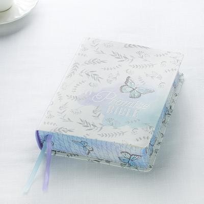 KJV My Promise Bible Silky But foto