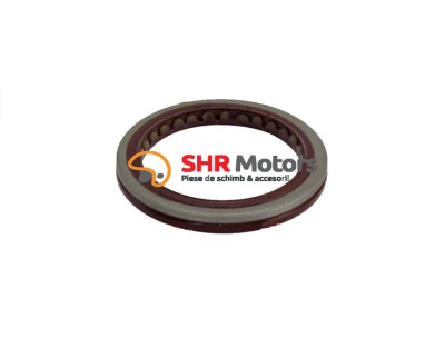 09. Simering 54x70x8 CF Moto 500 foto