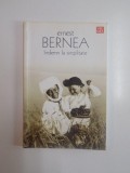INDEMN LA SIMPLITATE de ERNEST BERNEA , 2006 *PREZINTA URME DE UZURA