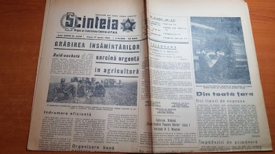 scanteia 17 aprilie 1964-turneul filarminicii bucurestene,combinatul pitesti foto