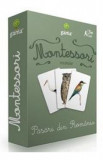 Montessori. Vocabular: Pasari din Romania