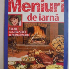 MENIURI DE IARNA , BUCATE LA GURA SOBEI CU ADRIANA TRANDAFIR de MARIA CRISTEA SOIMU , ADRIANA TRANDAFIR , 2013