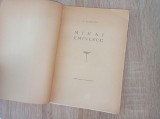 Cumpara ieftin N. PETRASCU - MIHAI EMINESCU, 1934