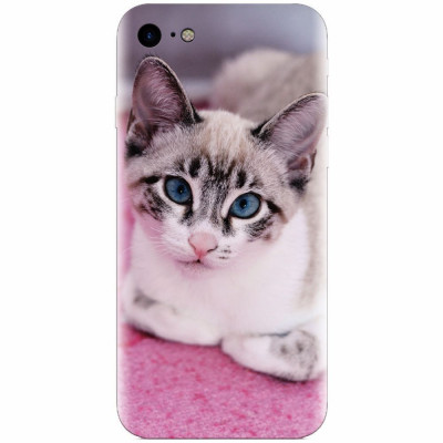 Husa silicon pentru Apple Iphone 8, Siamese Kitty foto