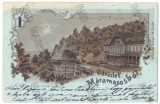 265 - MARAMURES, Litho, Romania - old postcard - used - 1902