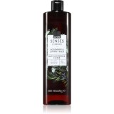 Avon Senses Essence Rosemary &amp; Carrot Seed gel de duș cremos 500 ml