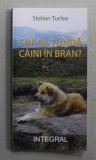 CIN &#039;SA TUNDA CAINI IN BRAN ? de STELIAN TURLEA , 2021