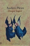 Despre &icirc;ngeri - 2008 - Andrei Pleșu (@N127)