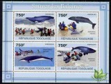 TOGO 2011 FAUNA MAMIFERE MARINE BALENE