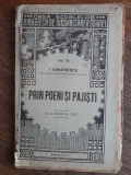 PRIN POENI SI PAJISTI - I. Simionescu , 1924 / R8P4F, Alta editura