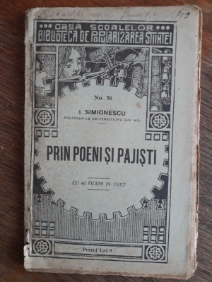 PRIN POENI SI PAJISTI - I. Simionescu , 1924 / R8P4F foto