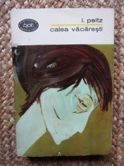 I. Peltz - Calea Vacaresti