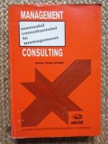 Management consulting. Manualul consultantului in management
