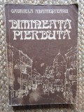 DIMINEATA PIERDUTA-GABRIELA ADAMESTEANU