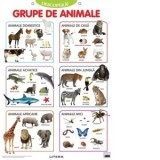 Descopera! Grupe de animale (planse educationale)