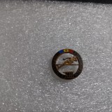 Insigna A 13 -a editie Campionatele Internationale de atletism