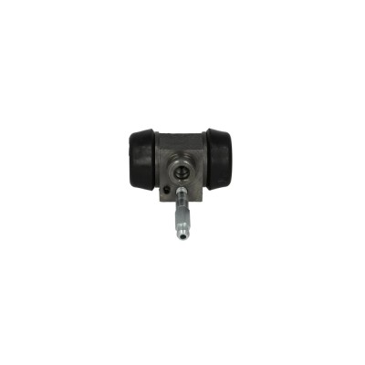 Clilindru pistonas frana LDV CONVOY platou sasiu BREMBO A12125 foto