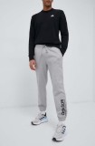 adidas pantaloni de trening culoarea gri, cu imprimeu
