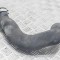 Furtun intercooler dreapta AUDI A5 8T3 2008 OEM: 8K0145738P 12104579